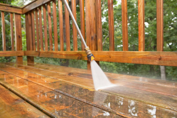 Best Roof Cleaning and Mildew Removal in USA